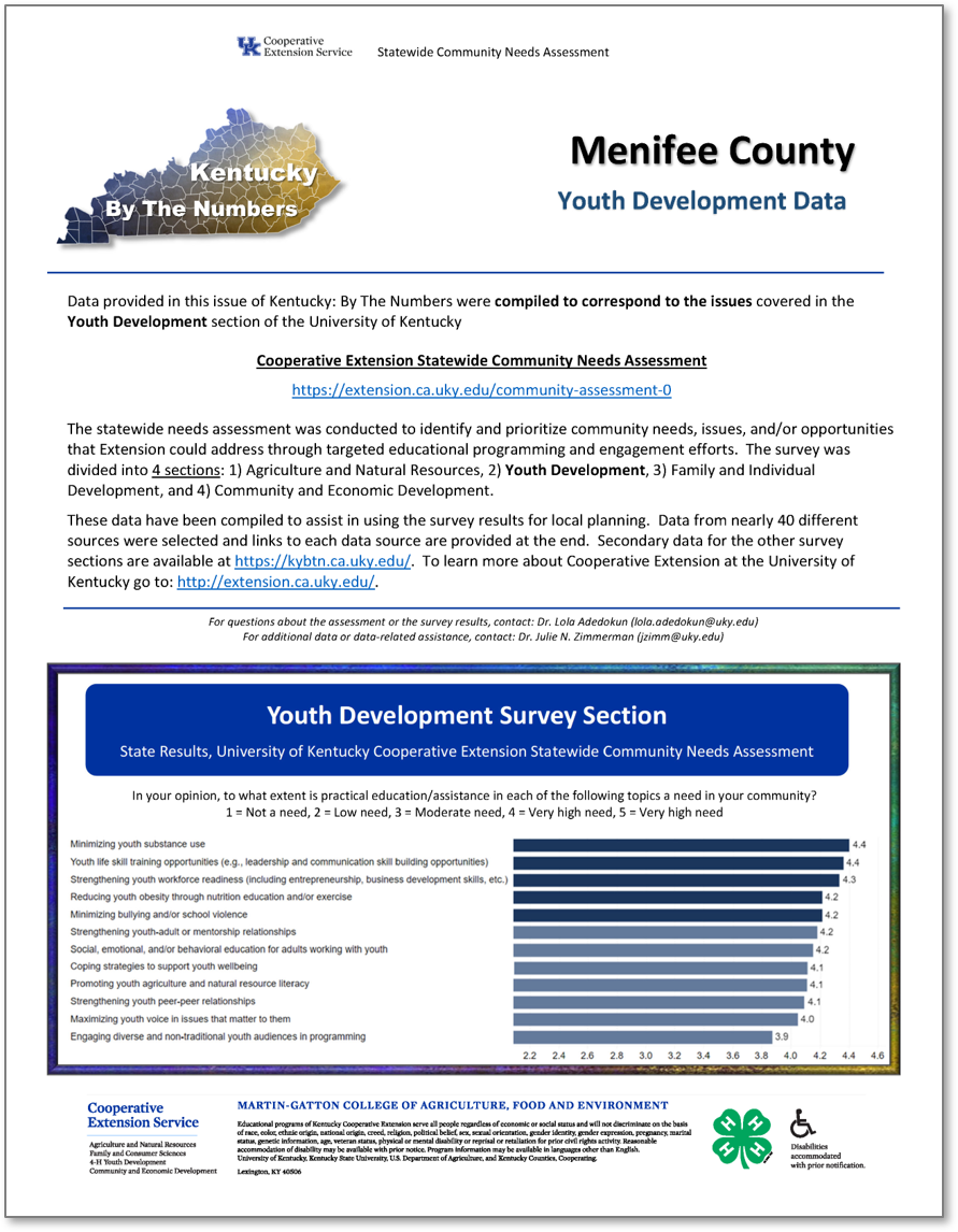 Image of Youth Development issue with Secondary Data for Community Needs Assessment